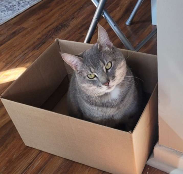 Photo of Pushi