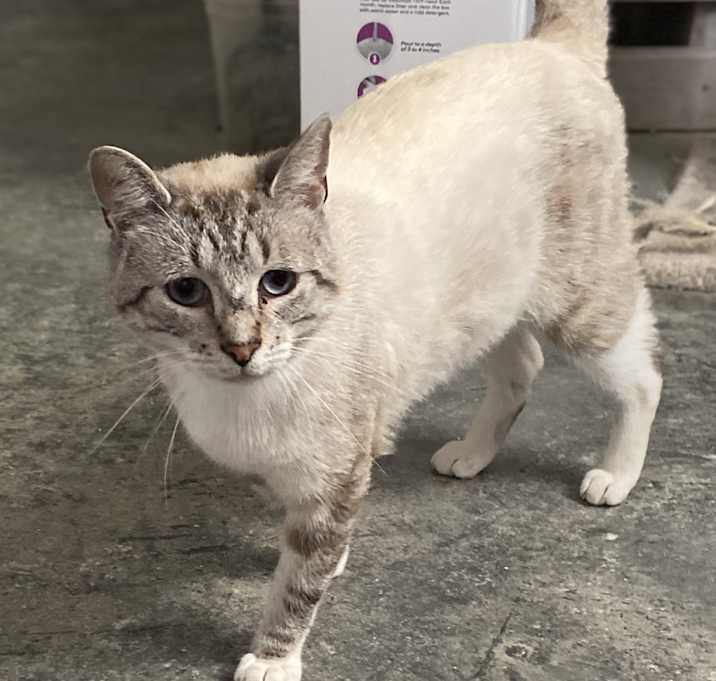 Photo of Aspen