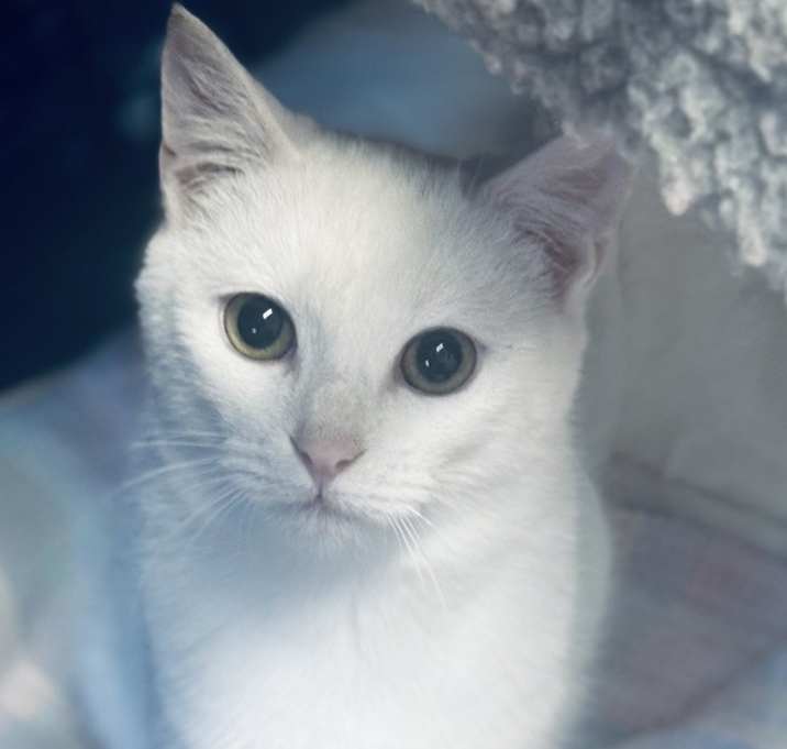 Photo of Everly