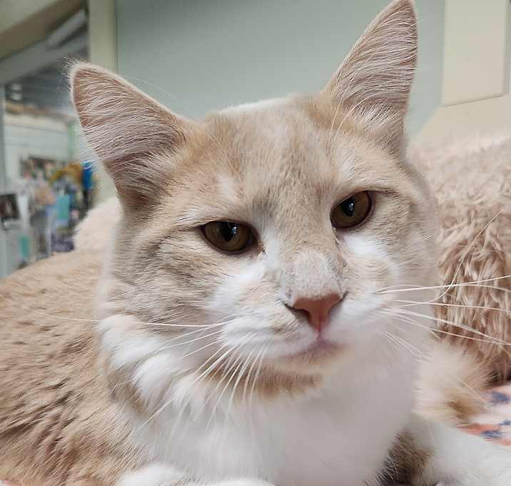 Photo of Quincy