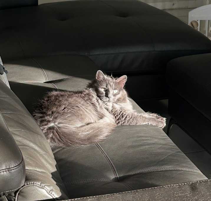 Photo of Sol