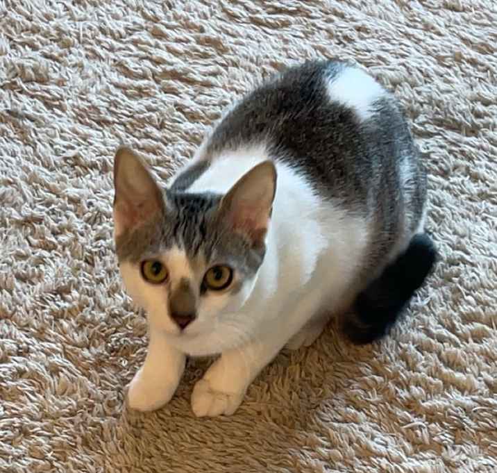 Photo of Tiny