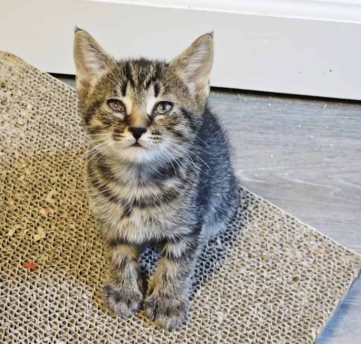 Photo of Timmy
