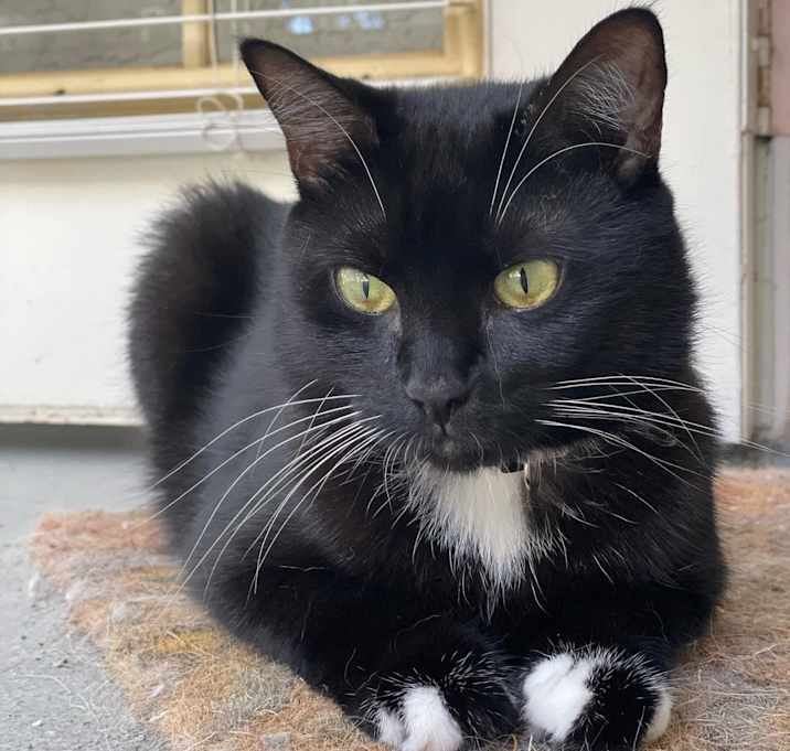 Photo of Boo Mamas
