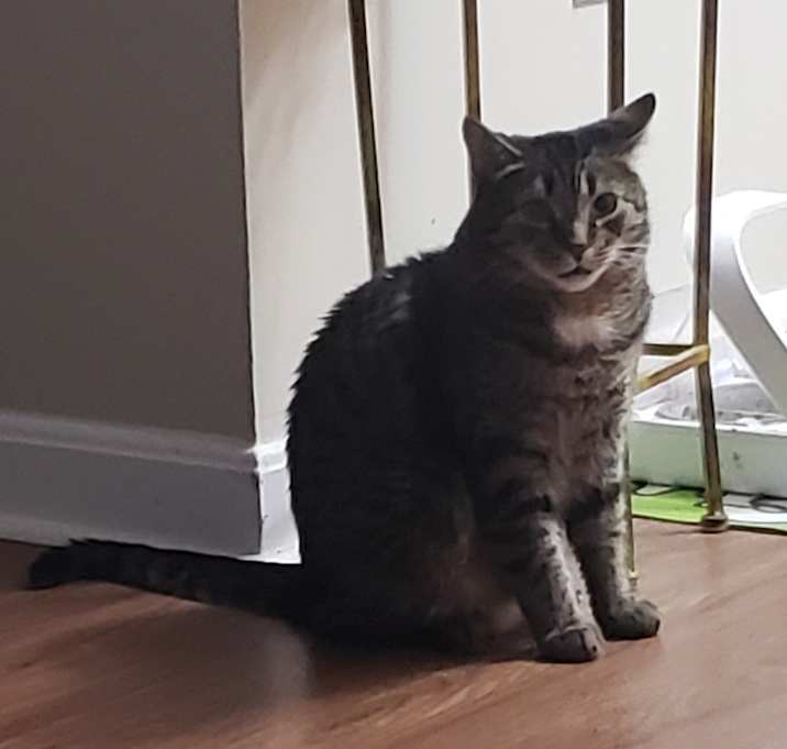 Photo of Bubba