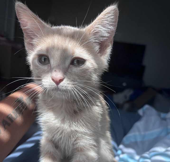Photo of Leo