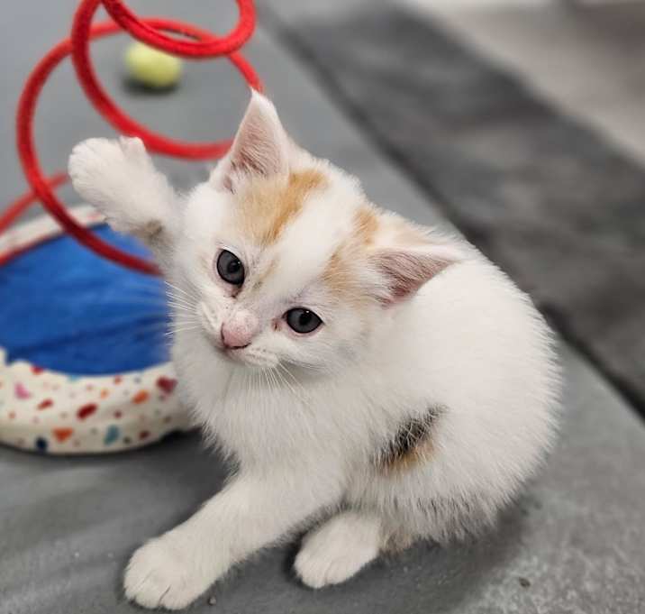 Photo of Yuna