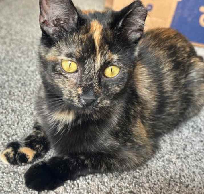 Photo of Darlah C4653