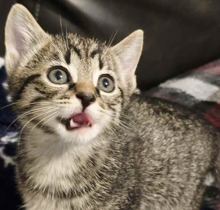 Photo of Zeke