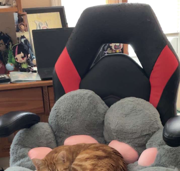 Photo of Triss