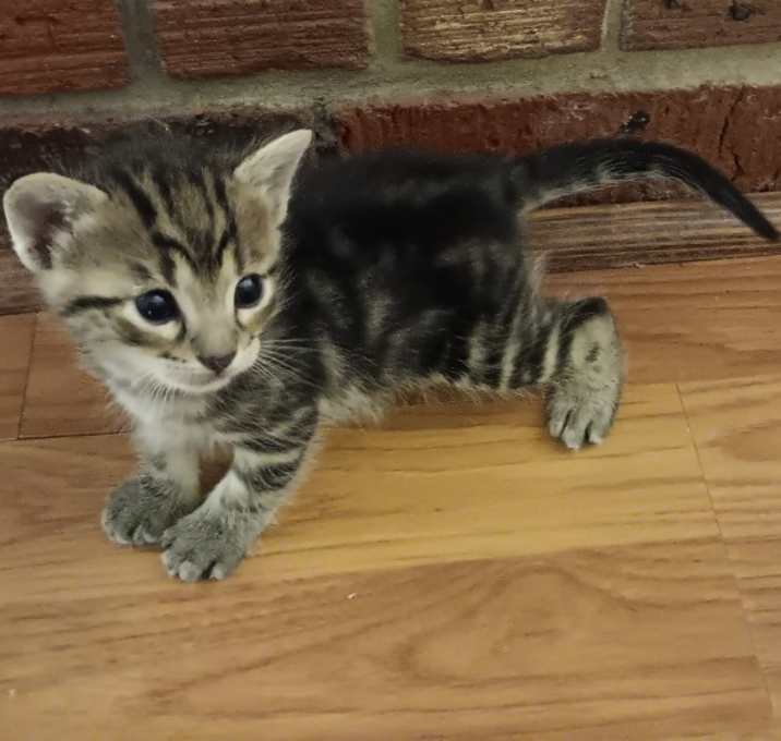 Photo of Tommy