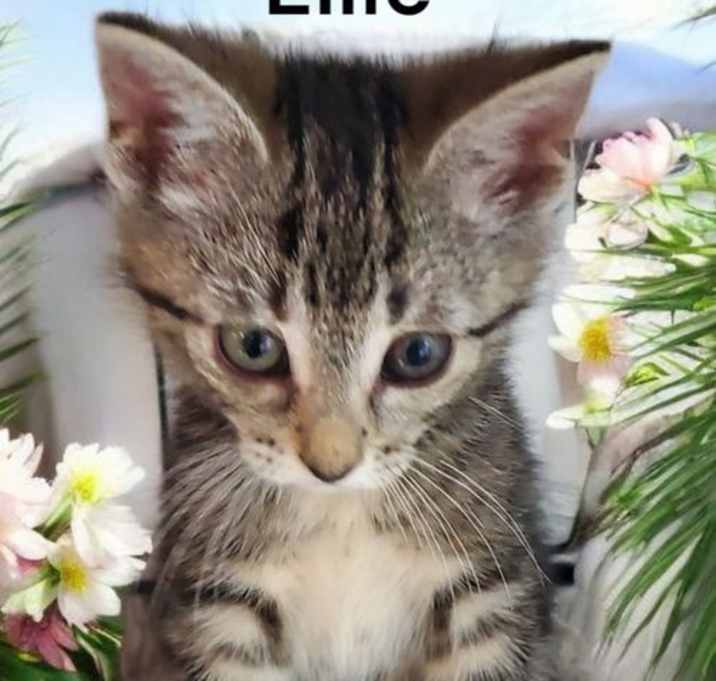 Photo of Ellie