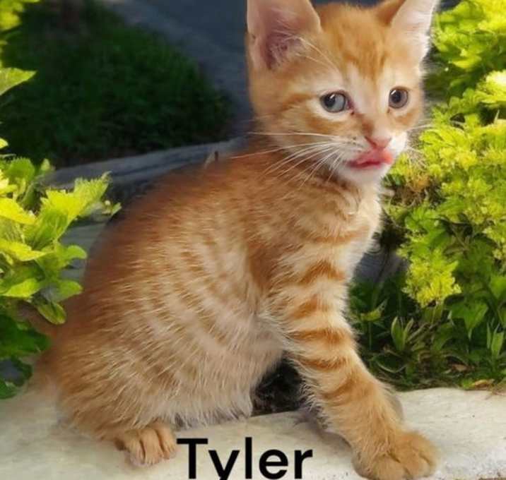 Photo of Tyler