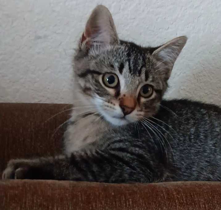 Photo of Tom