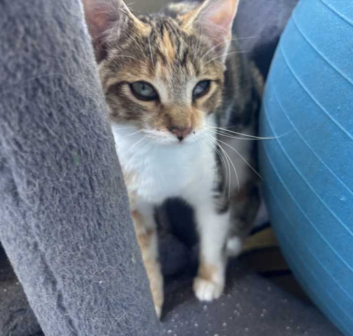 Photo of Tina