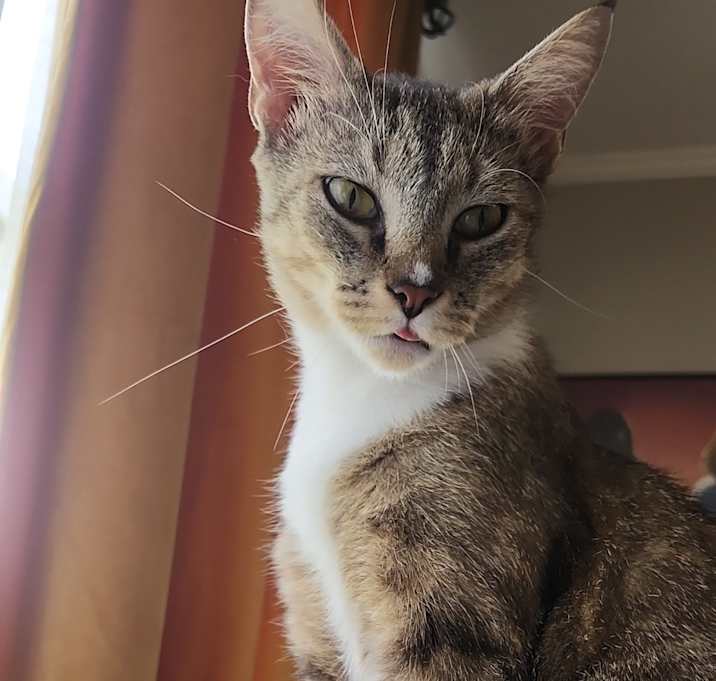Photo of Winry