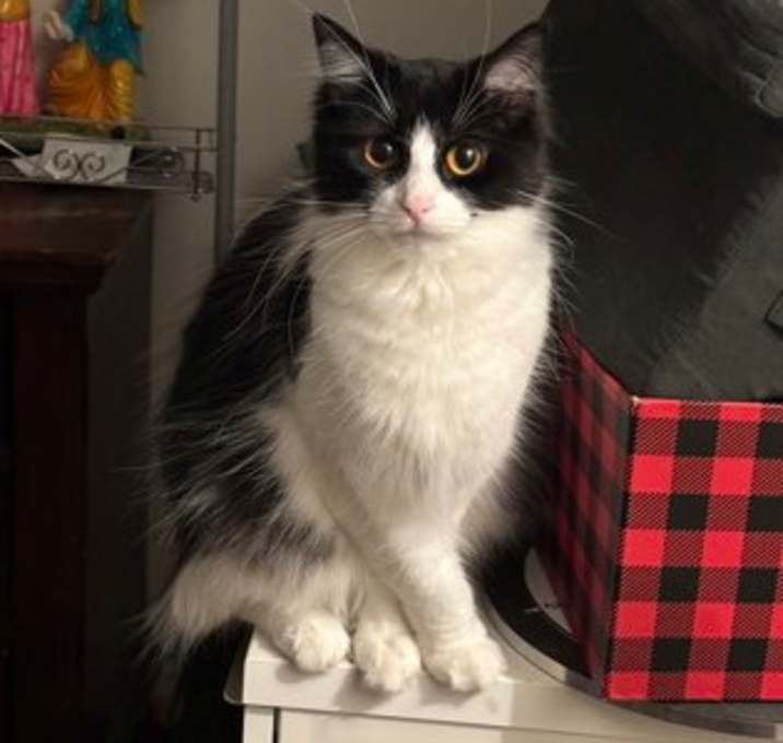 Photo of Sweet Girl