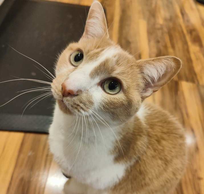 Photo of Benny