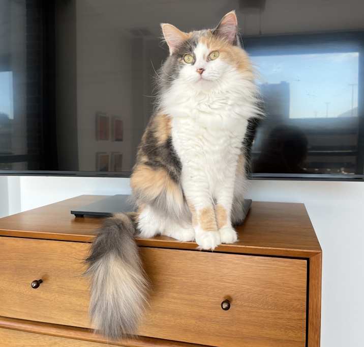 Photo of Winnie