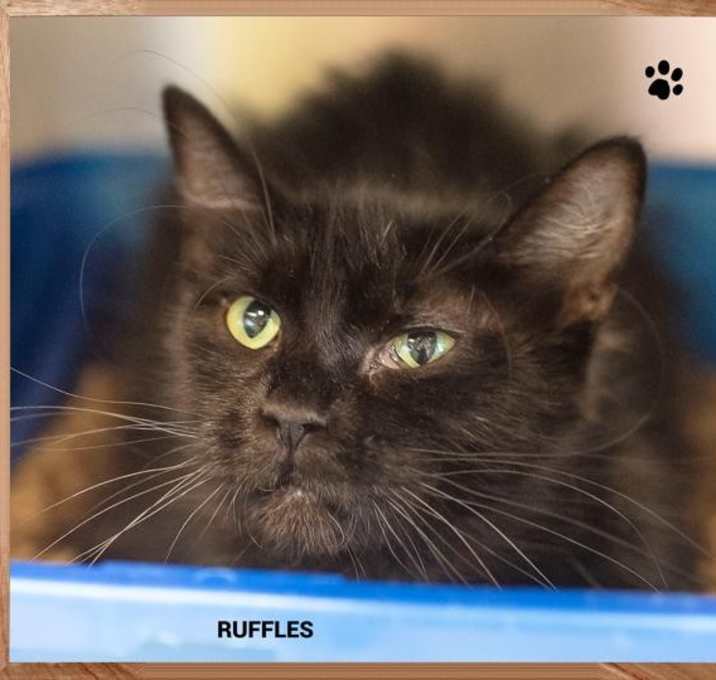 Photo of Ruffles
