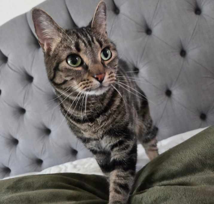 Photo of Abu
