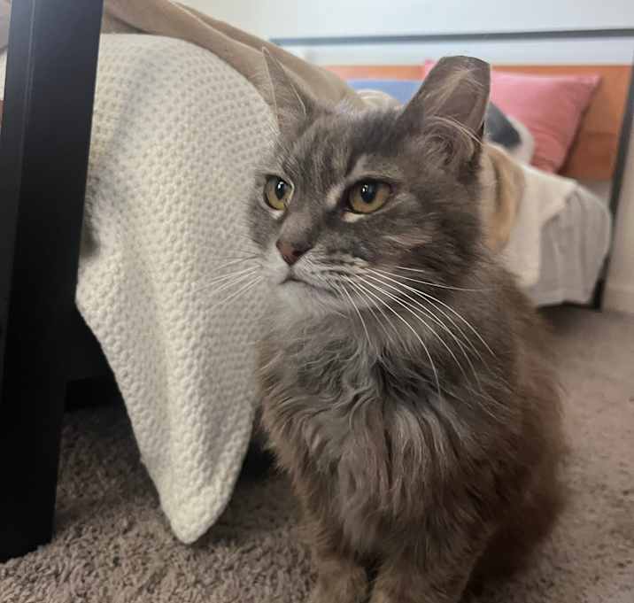 Photo of Mabel