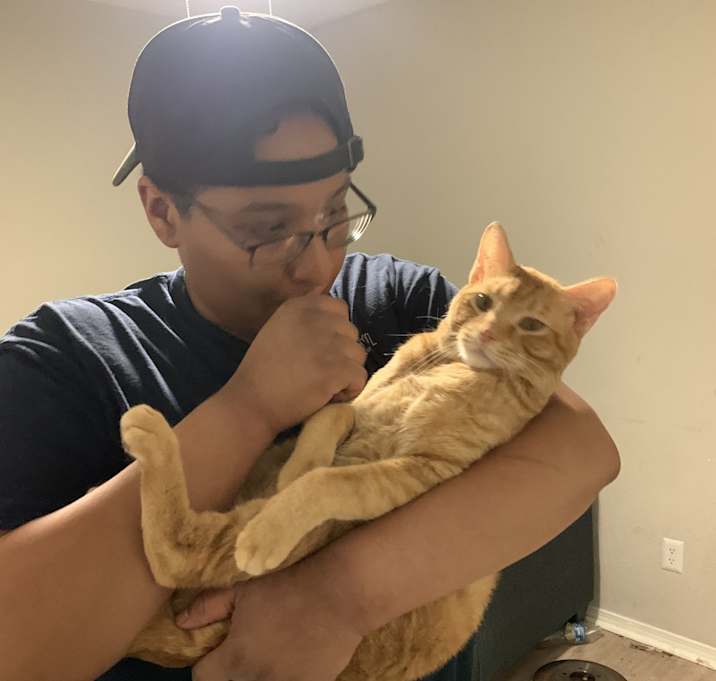Photo of Nemo