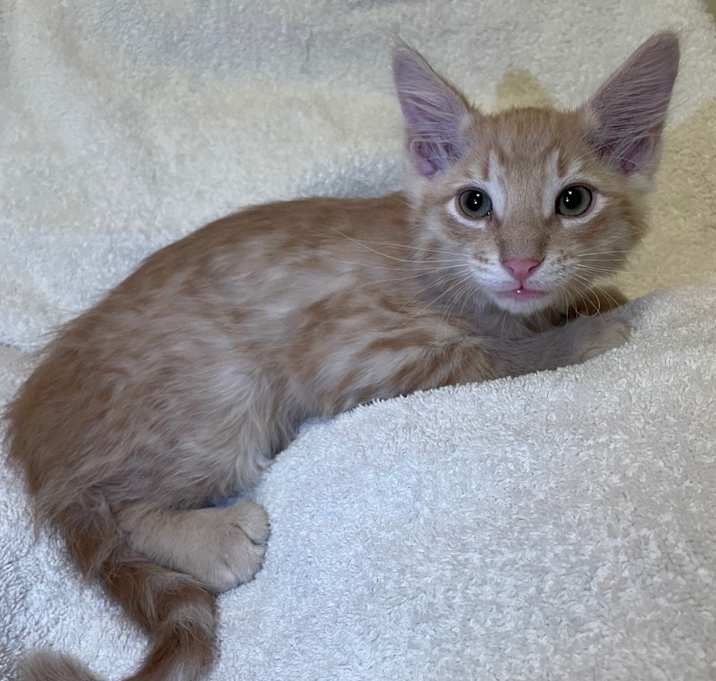 Photo of Tiggy boy 