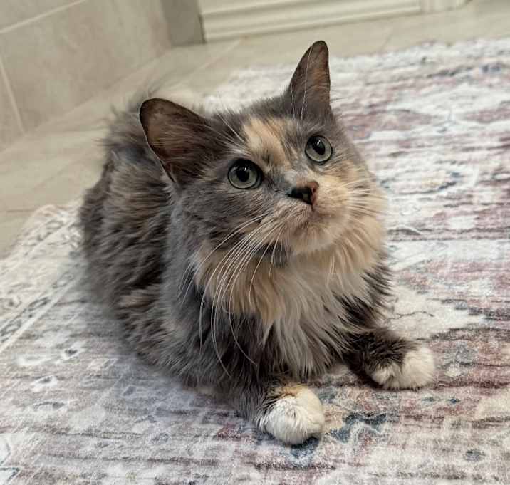 Photo of Bitty