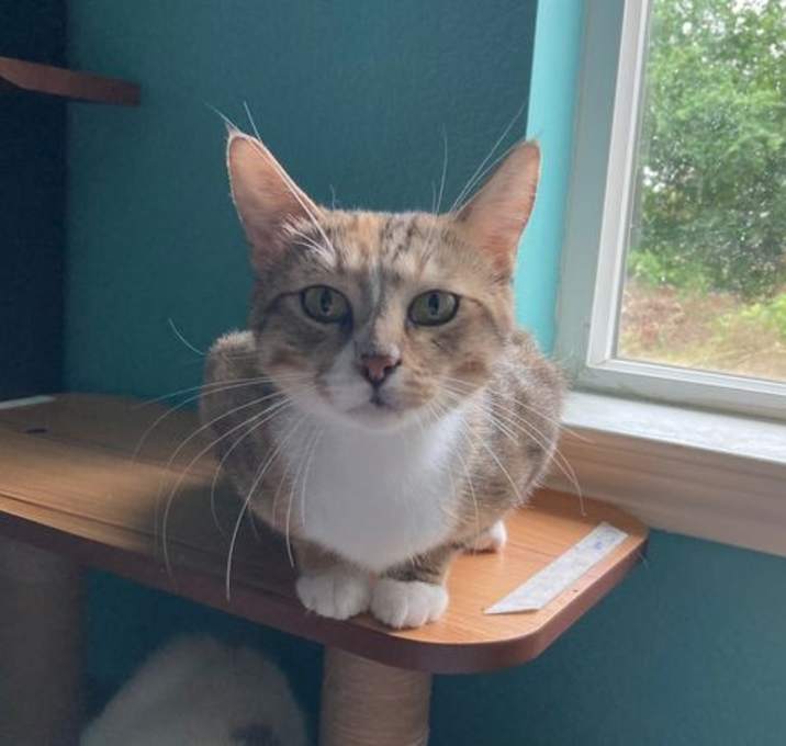 Photo of Taika