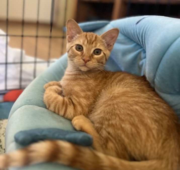 Photo of Gala