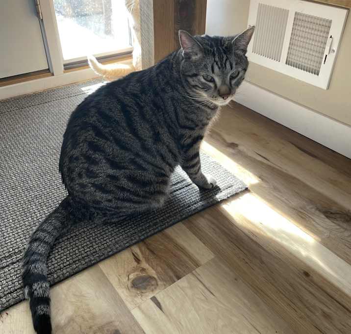 Photo of Storm