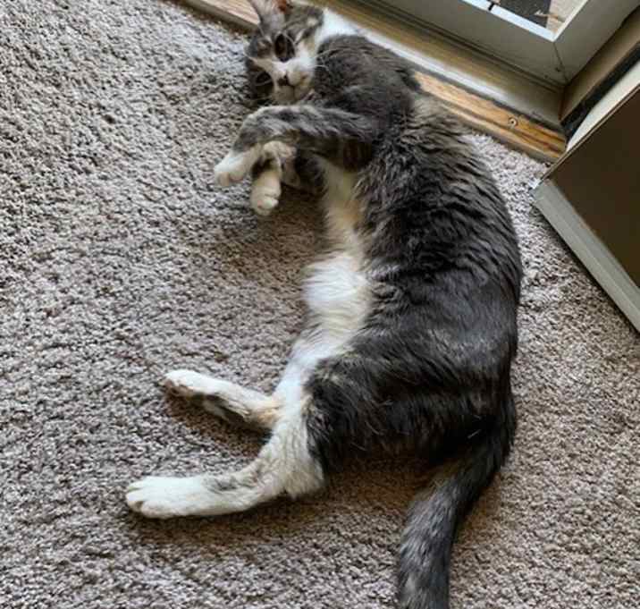 Photo of Whiskey
