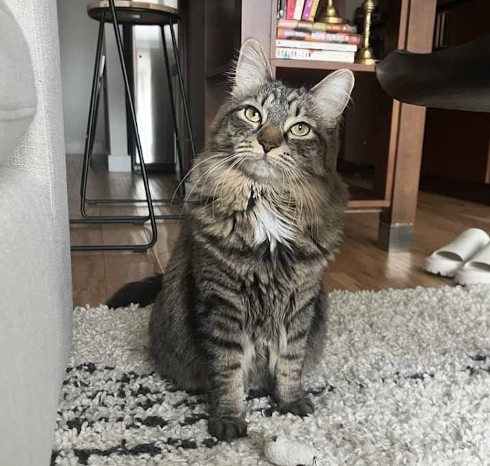 Photo of Hazel