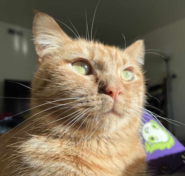 Photo of Sonny