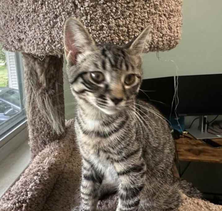 Photo of YETI