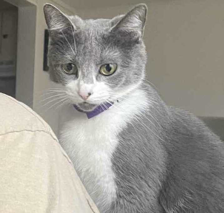 Photo of Luna