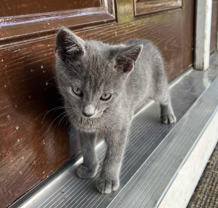 Photo of Stormy