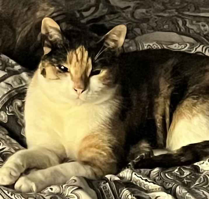 Photo of Cassie