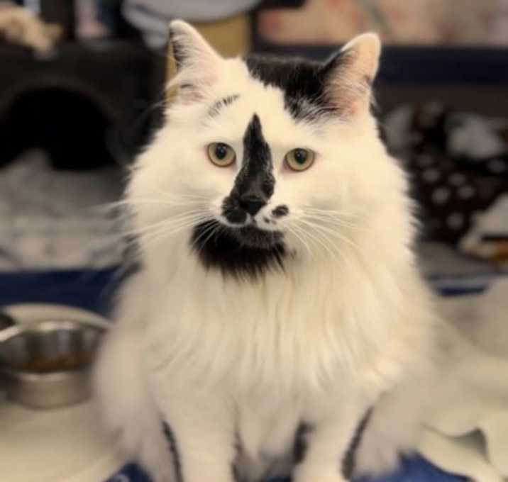 Photo of Moozie