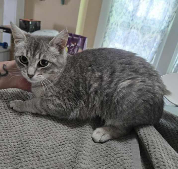 Photo of Rosemary