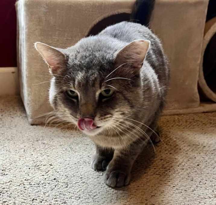 Photo of Cinder