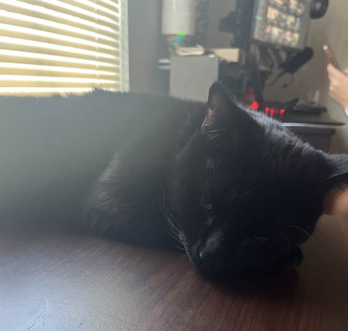 Photo of Sombra