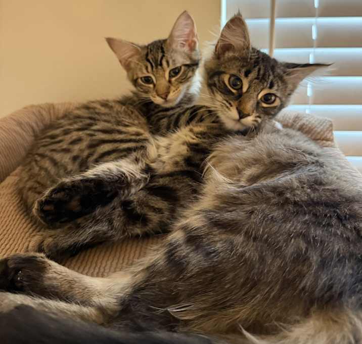 Photo of Rocco and Sam