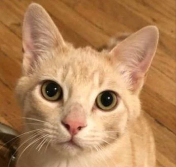 Photo of Horchata