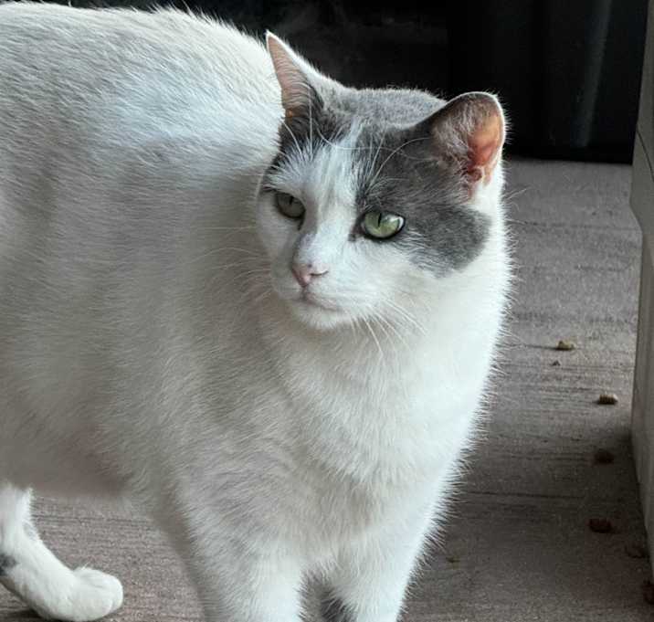 Photo of Feisty