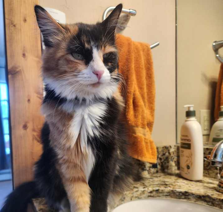 Photo of Lilah