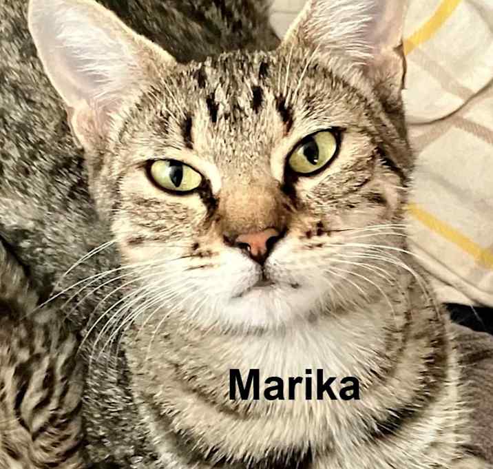 Photo of Marika