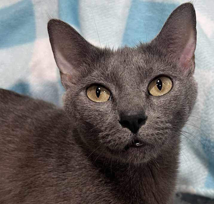 Photo of Giselle