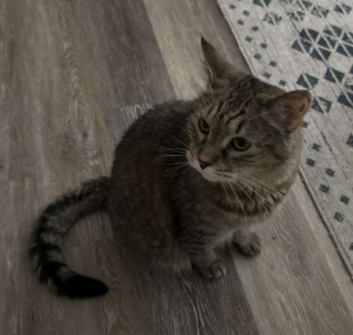 Photo of Babou